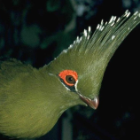 Салон красоты Beauty REFORM в Екатеринбурге